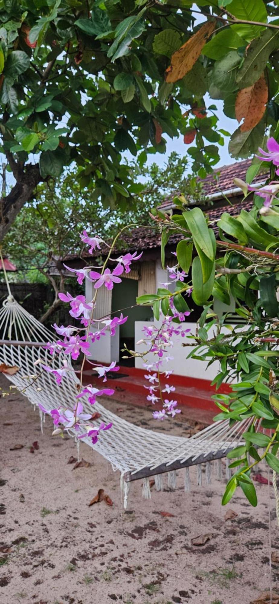 Angeo Beach House Alappuzha Eksteriør billede